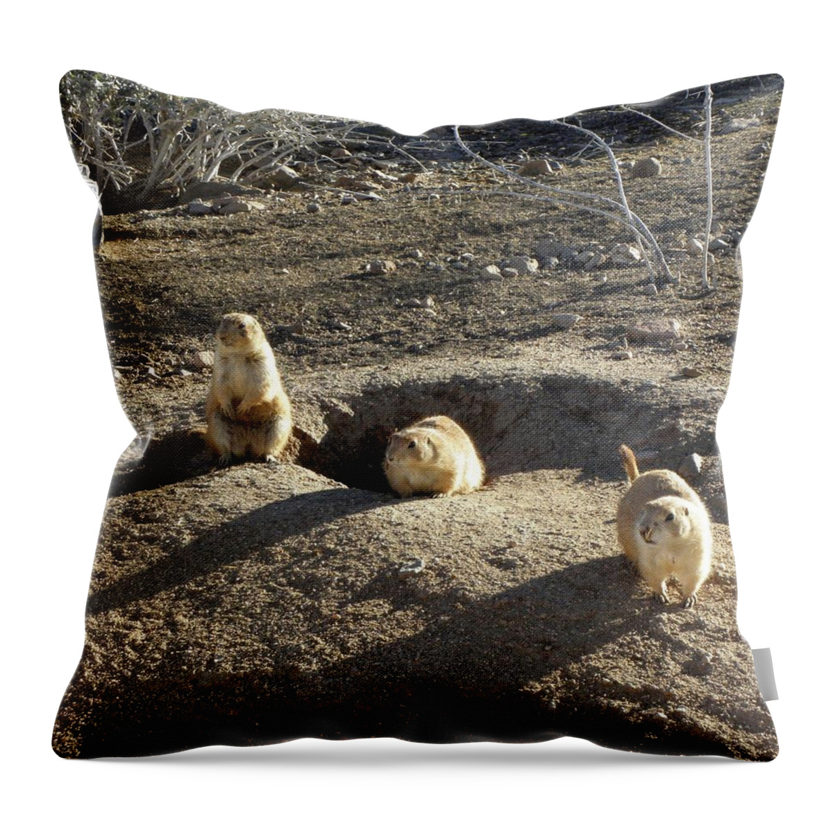 Prarie Throw Pillow featuring the photograph The Three Stooges by Kim Galluzzo