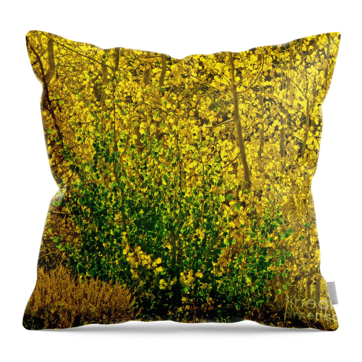 Aspen Leaves Throw Pillow featuring the photograph The Turn by L J Oakes