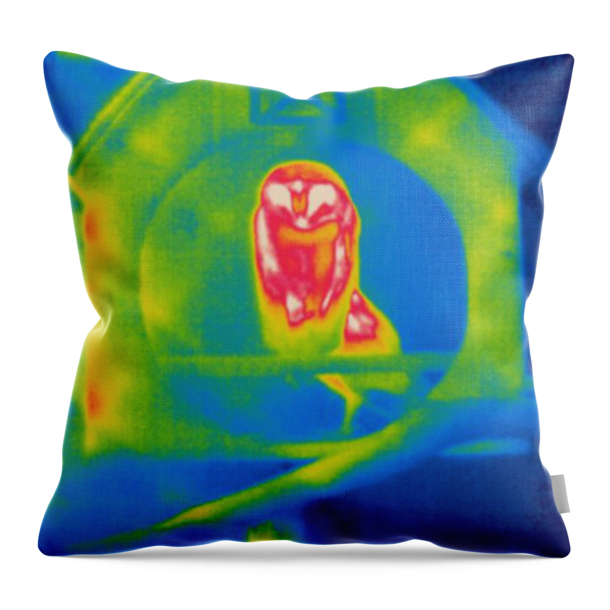 Thermogram Throw Pillow featuring the photograph Thermogram Of An Owl by Ted Kinsman