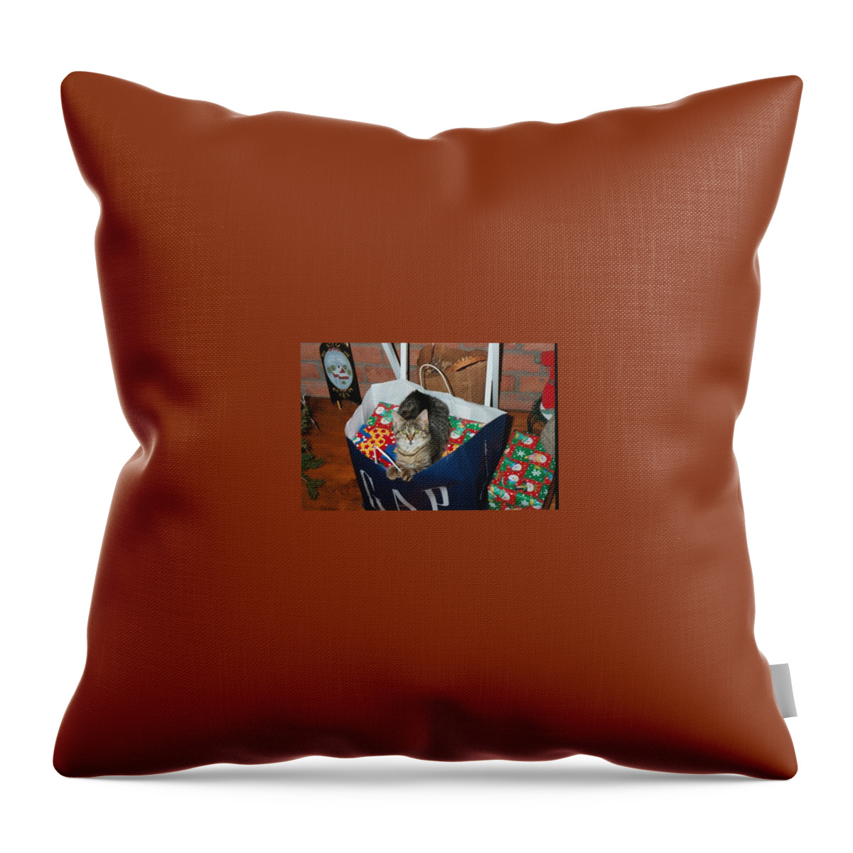 Kitten Throw Pillow featuring the photograph These Are Mine by Kim Galluzzo