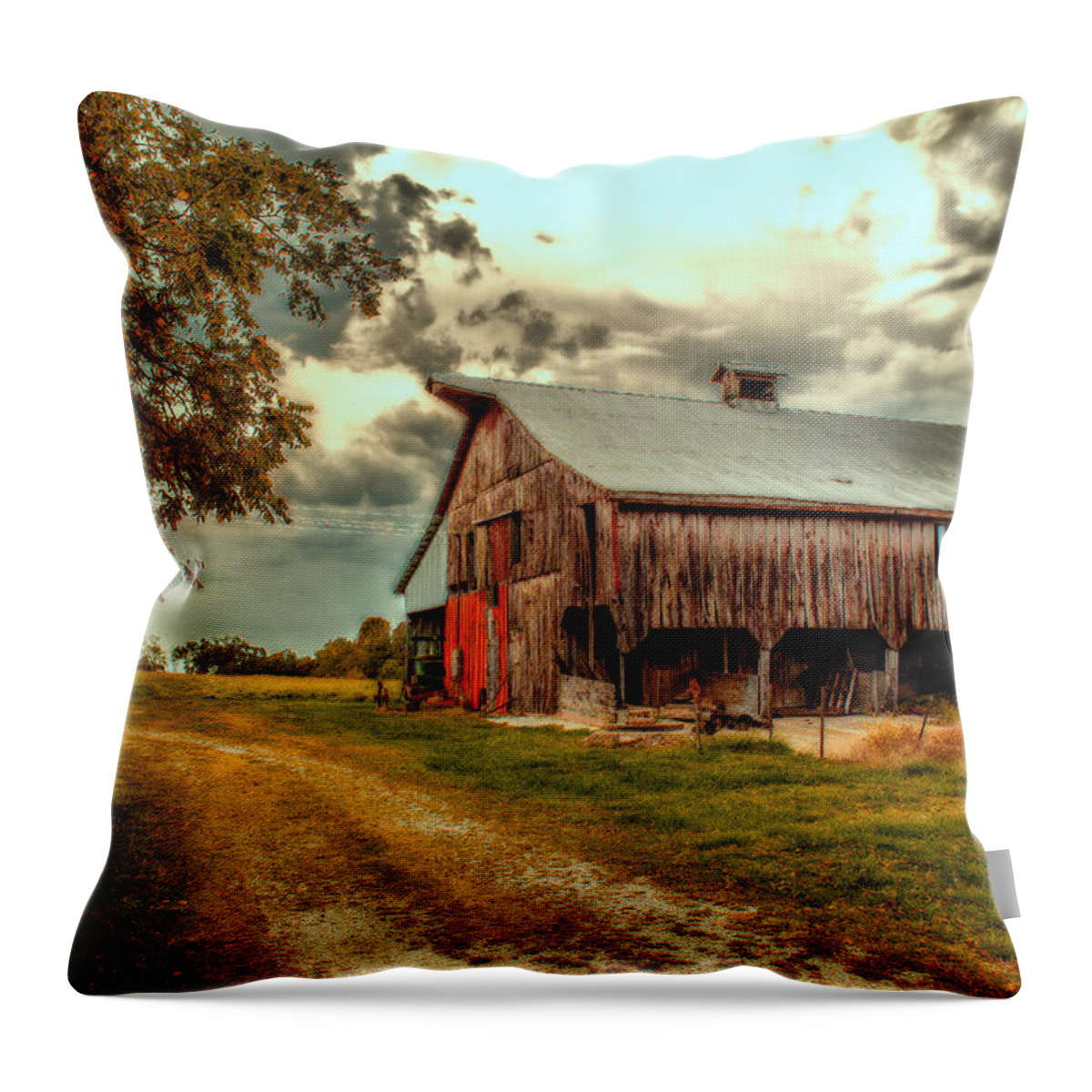 Barn Throw Pillow featuring the photograph This Old Barn by Bill and Linda Tiepelman