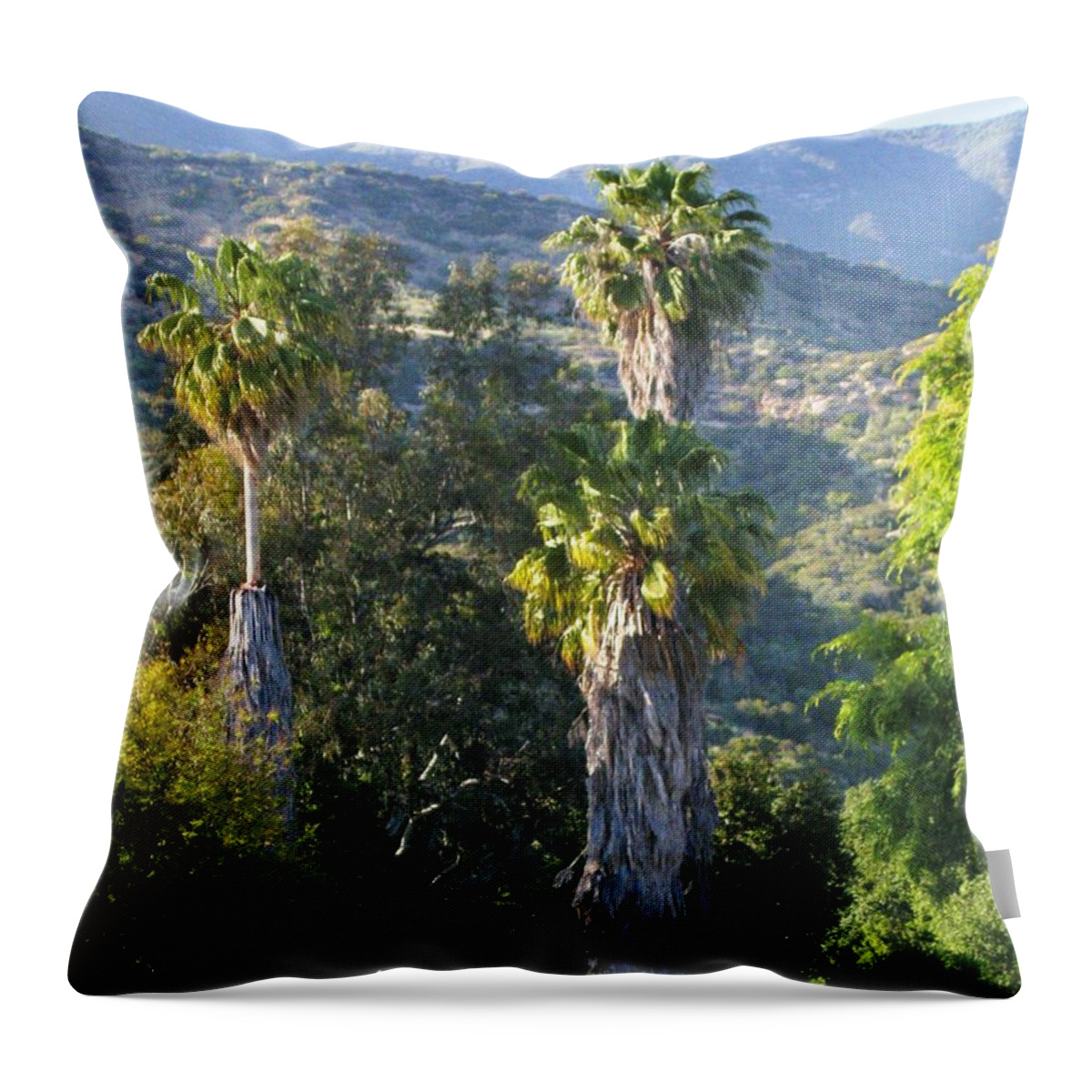 Palm Trees Throw Pillow featuring the photograph Three Palm Trees by Sue Halstenberg