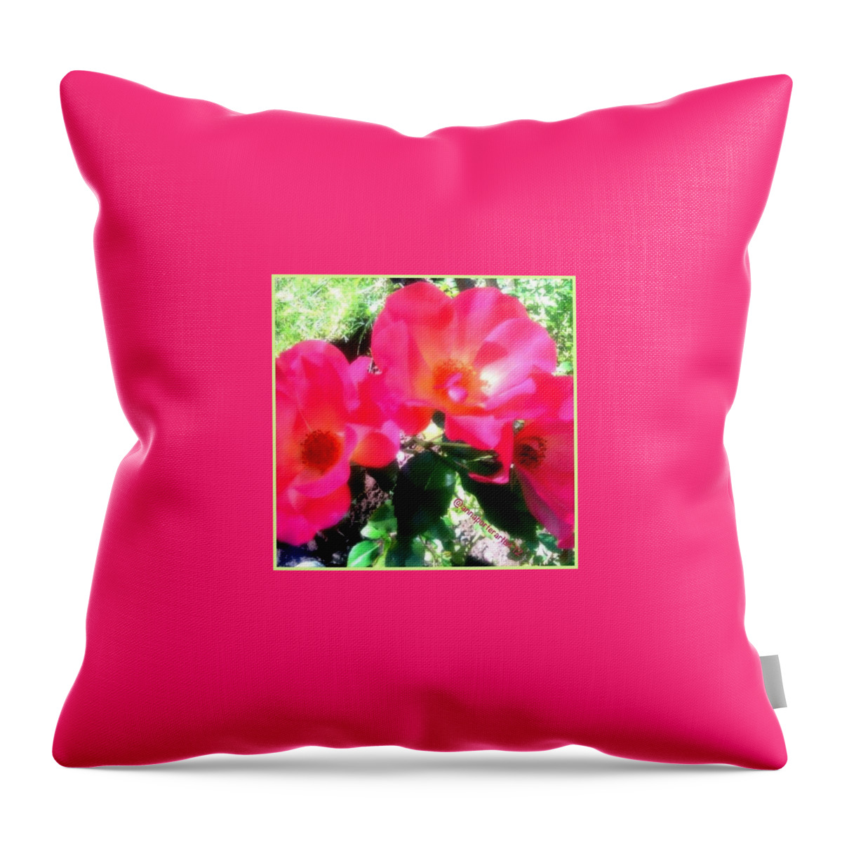Beautiful Throw Pillow featuring the photograph Three Things #fmsphotoaday #day24 by Anna Porter