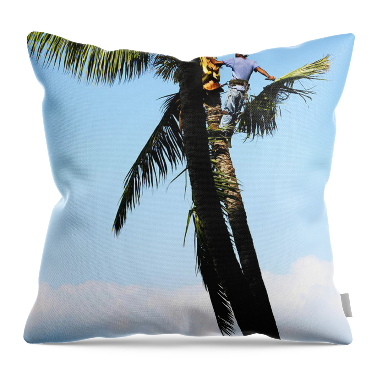 Thrill Throw Pillow featuring the photograph Thrilling Occupations by Marilyn Hunt