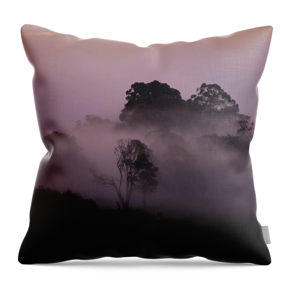 Landscapes Throw Pillow featuring the photograph Through The Mist by Lee Stickels