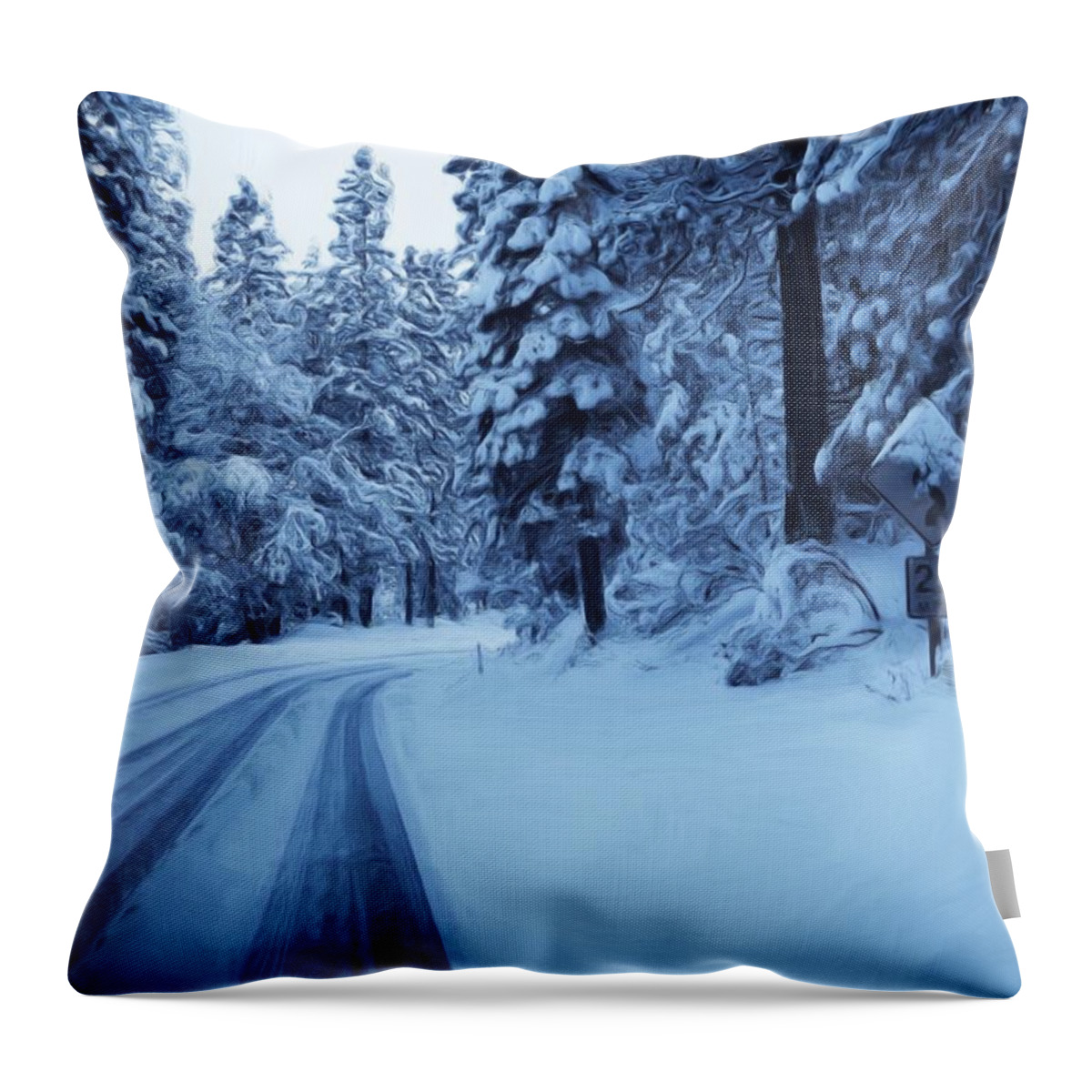 Yosemite Throw Pillow featuring the photograph Through The Snow by Heidi Smith