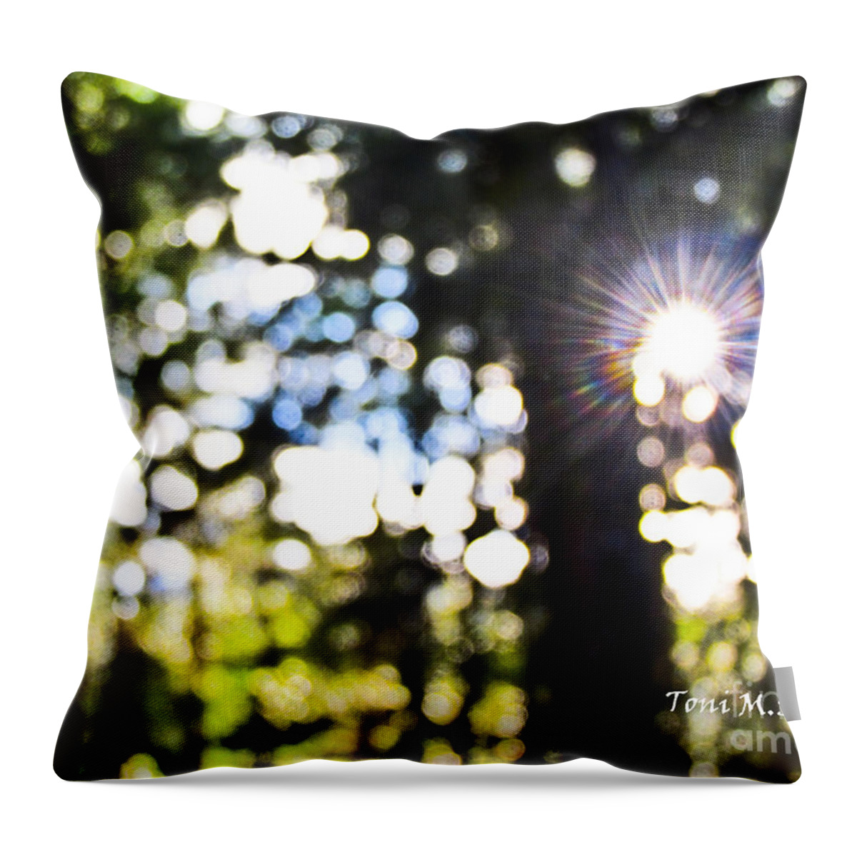 Trees Throw Pillow featuring the photograph Through The Trees by Toni Somes