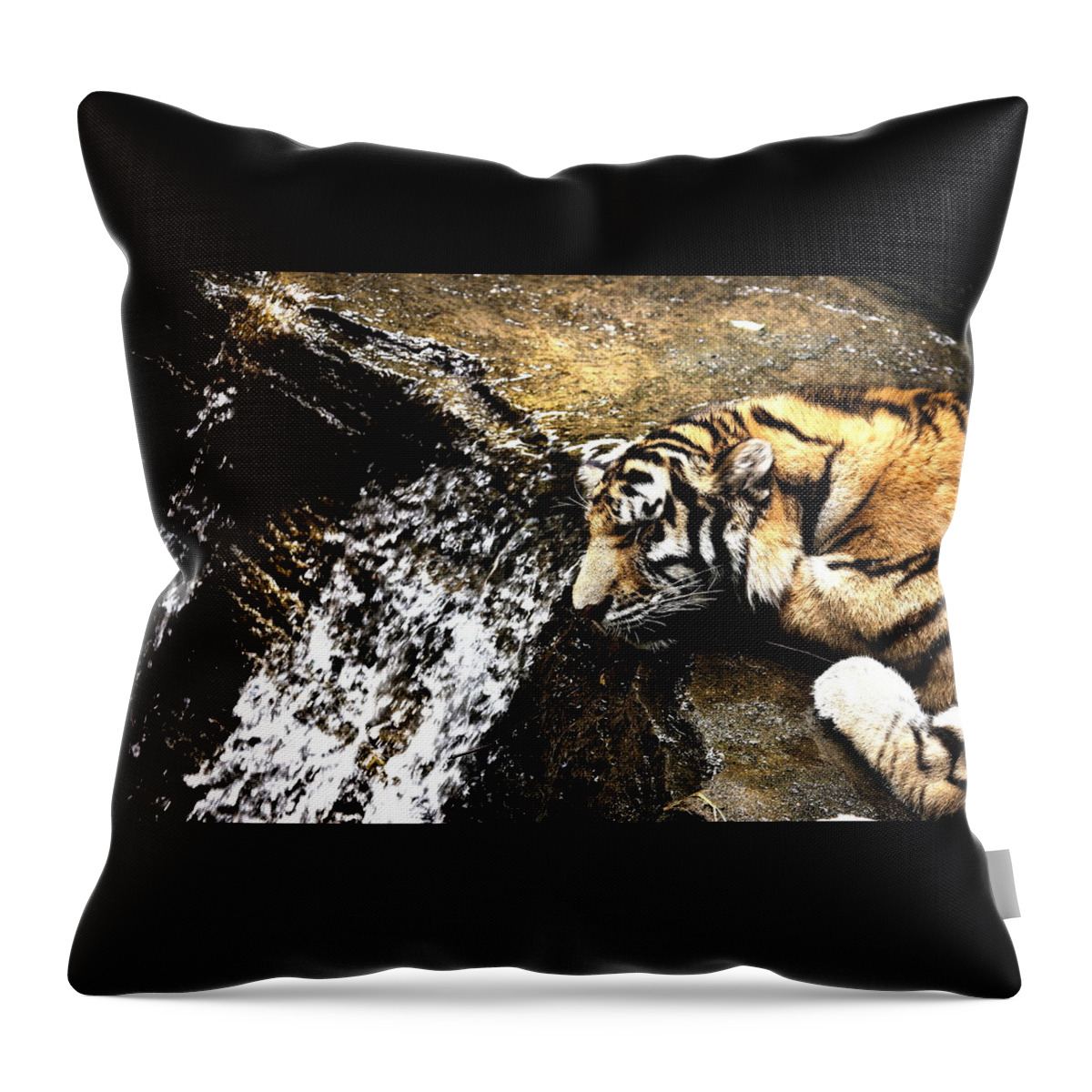 Amur Tiger Throw Pillow featuring the photograph Tiger Falls by Angela Rath