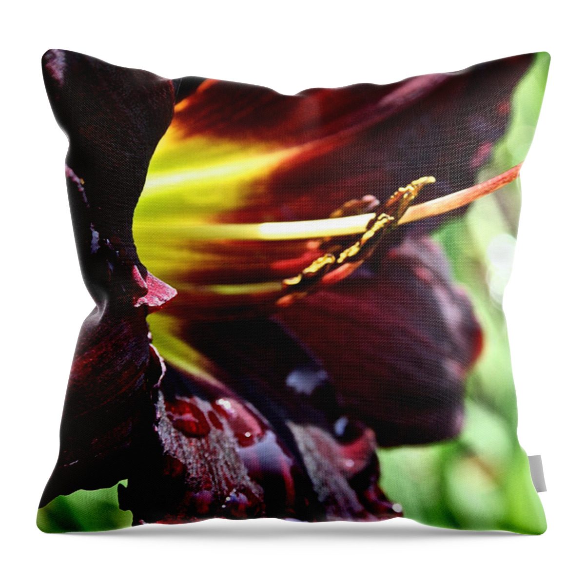 Plant Throw Pillow featuring the photograph Timber Creek Ace by Susan Herber