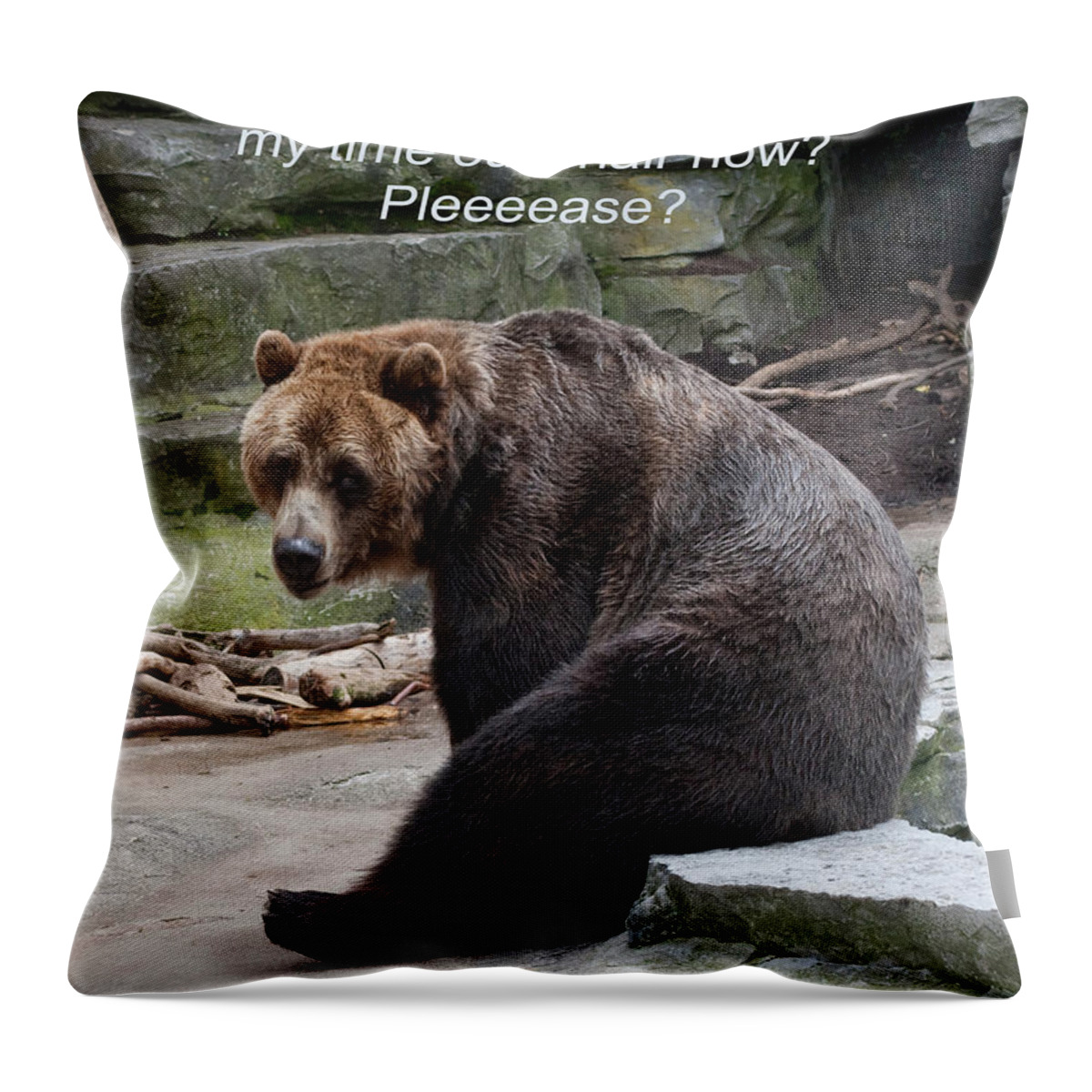 Time Out Throw Pillow featuring the photograph Time Out Bear by Cindy Haggerty