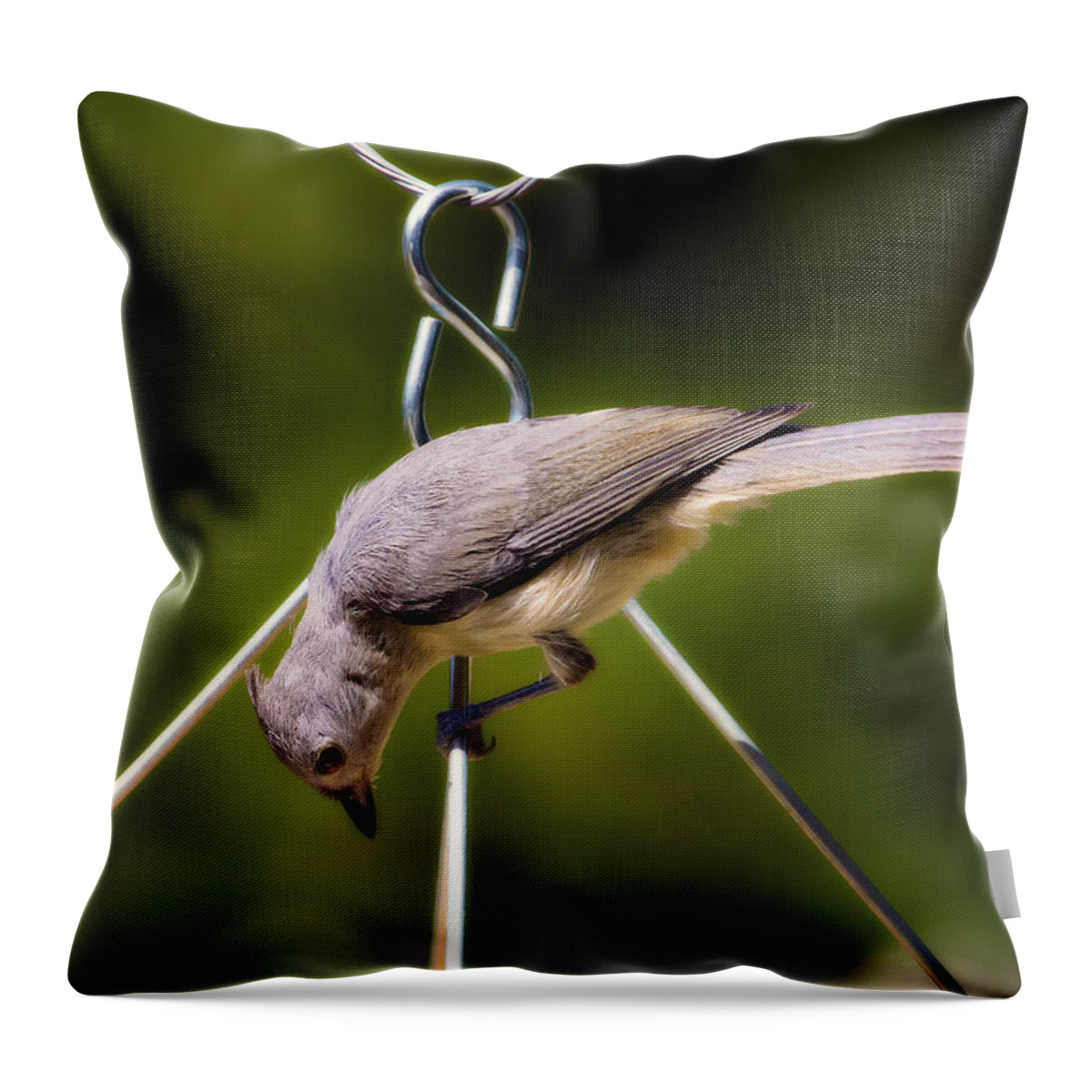 Titmice Throw Pillow featuring the photograph Titmouse on Hanger by Bill and Linda Tiepelman