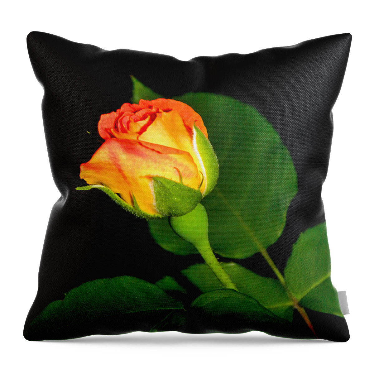 Background Throw Pillow featuring the photograph To My Beloved by Ester McGuire