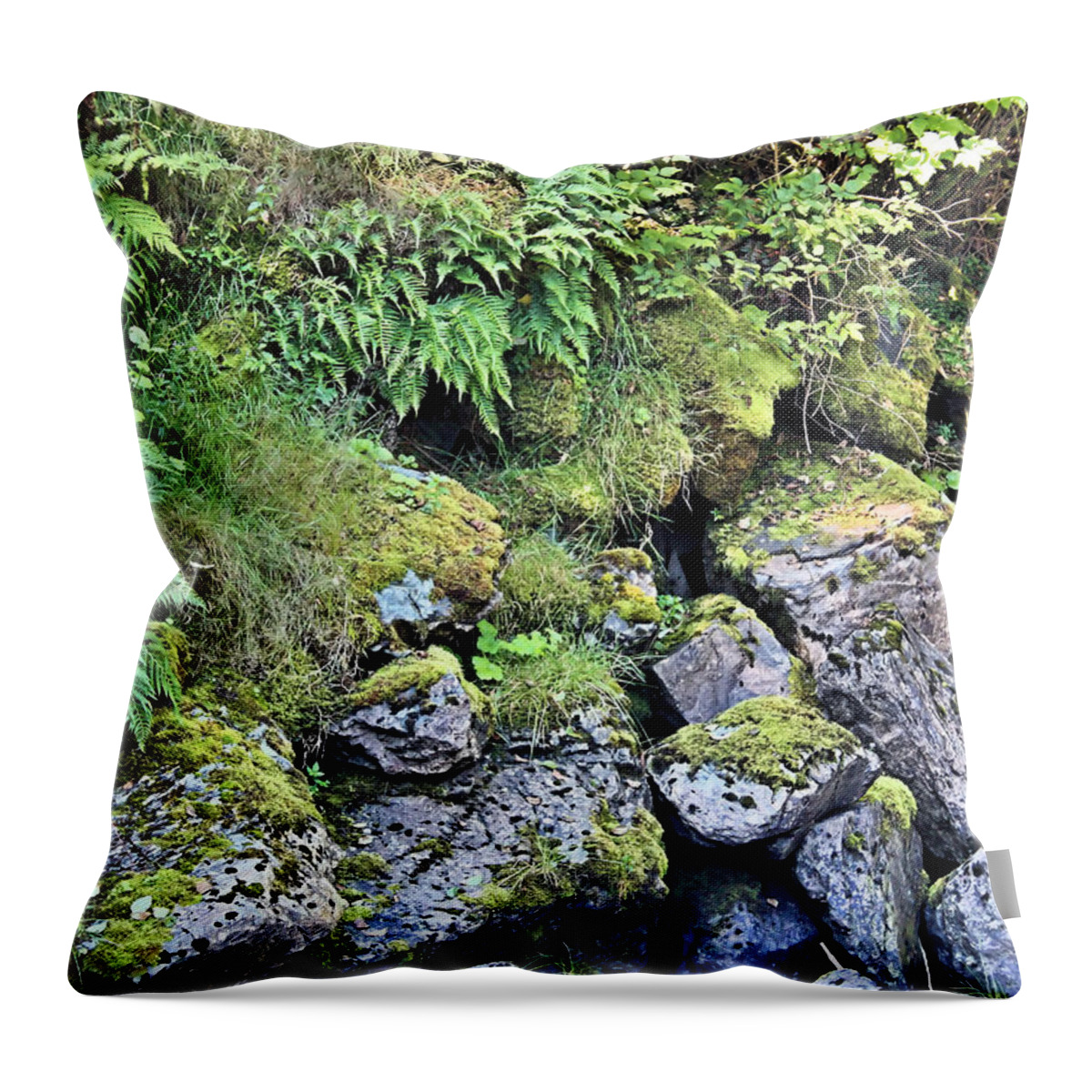 Tongass National Forest Throw Pillow featuring the photograph Tongass Fern by Kristin Elmquist