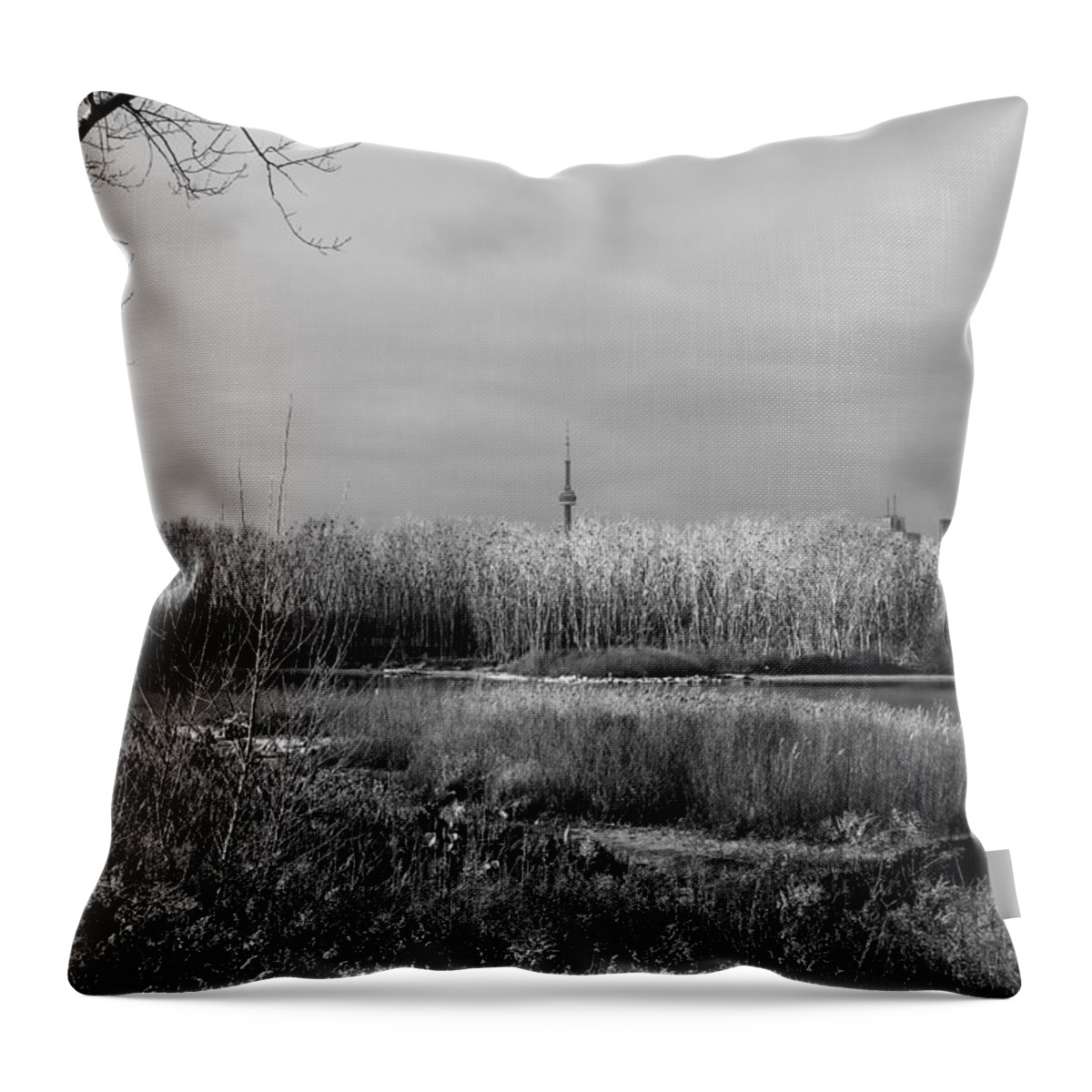 Toronto Throw Pillow featuring the photograph Toronto Skyline 12B by Andrew Fare