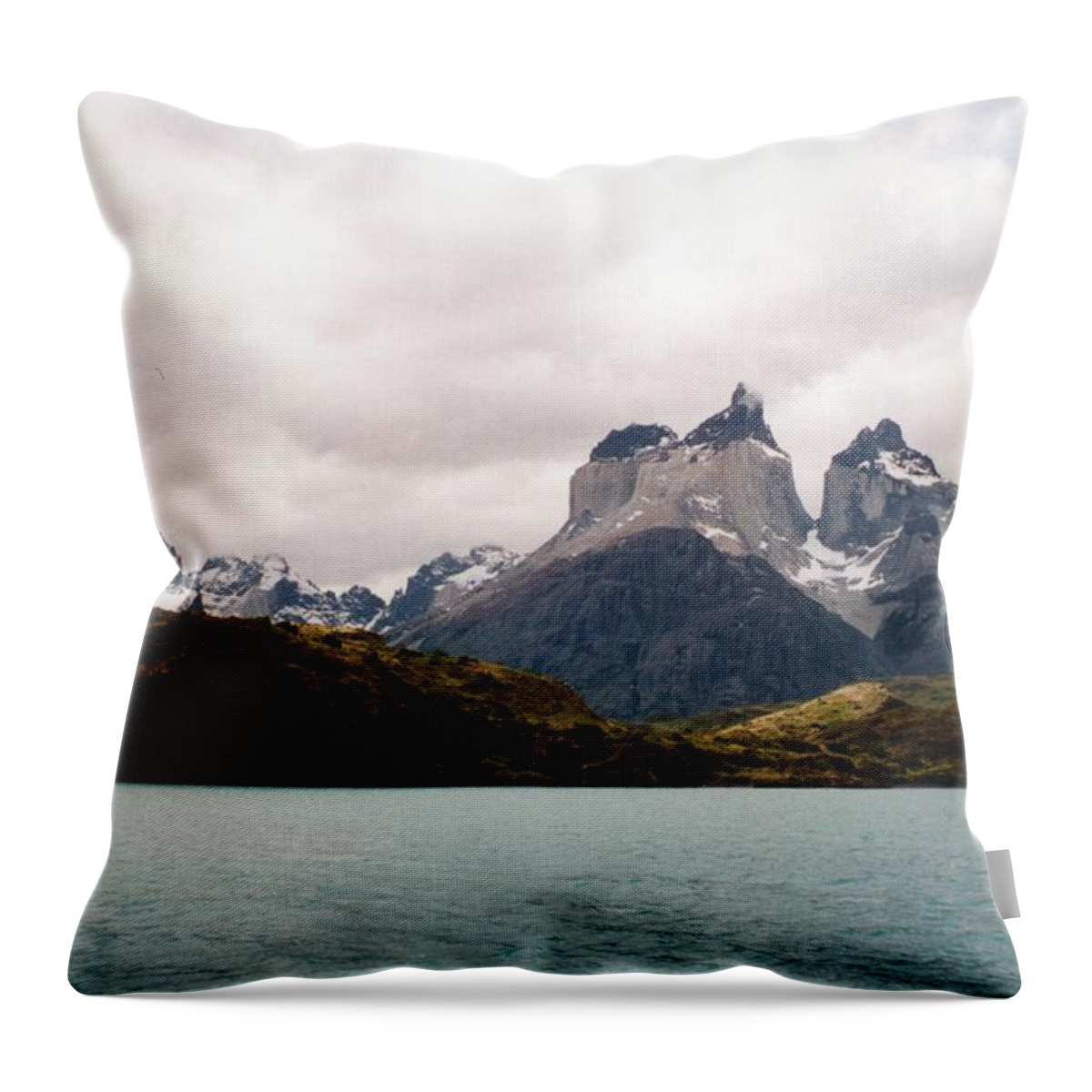 Torres Del Paine National Park Throw Pillow featuring the photograph Torres Del Paine - Chile by Ronald Osborne