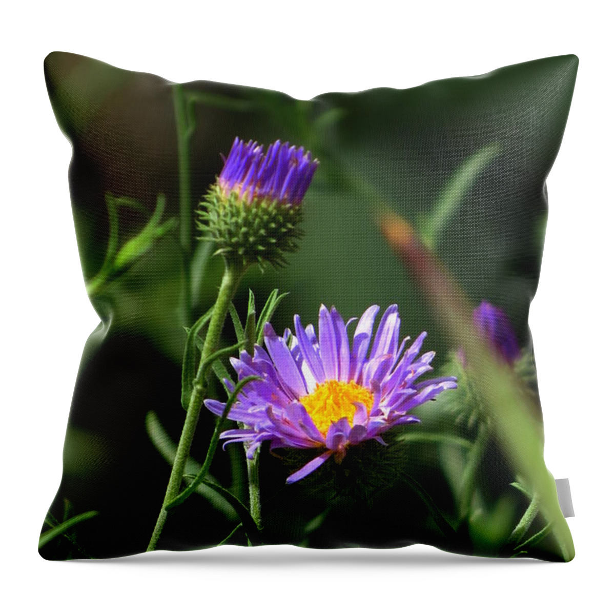  Throw Pillow featuring the photograph Touch of Spring by Desert Serenity