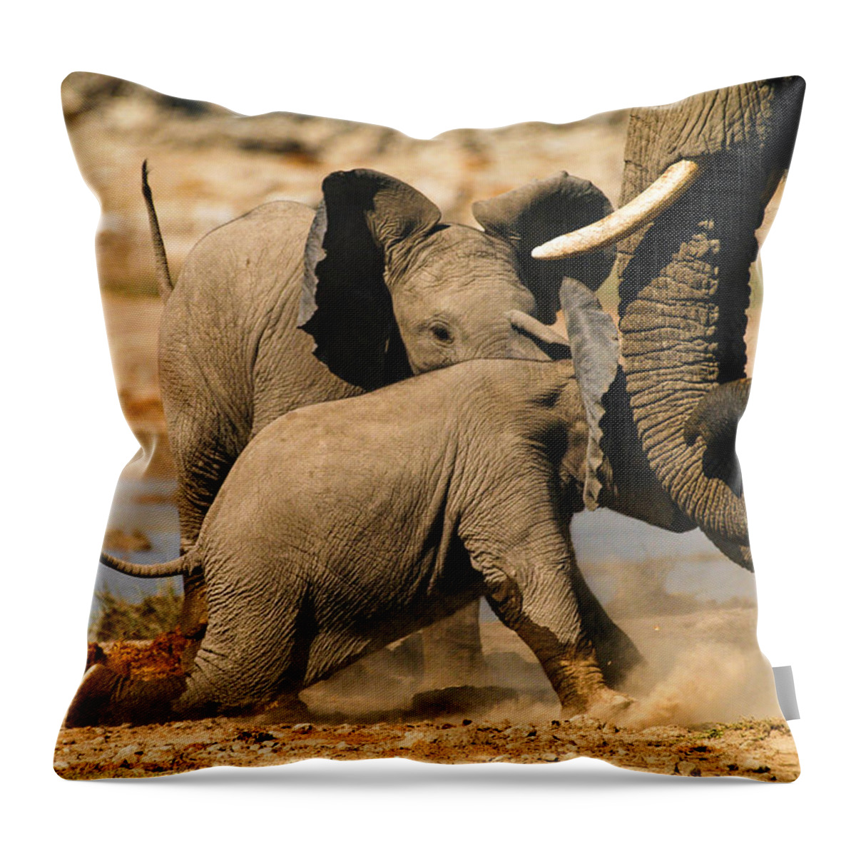A Baby Elephants Play Throw Pillow featuring the photograph Tough play 2 by Alistair Lyne