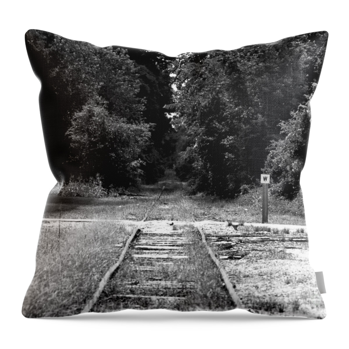 Railroad Throw Pillow featuring the photograph Abandoned Rails by John Black