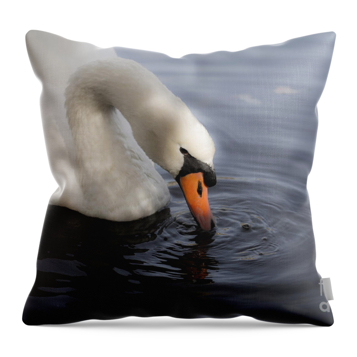 Tranquil Throw Pillow featuring the photograph Tranquil by Leslie Leda