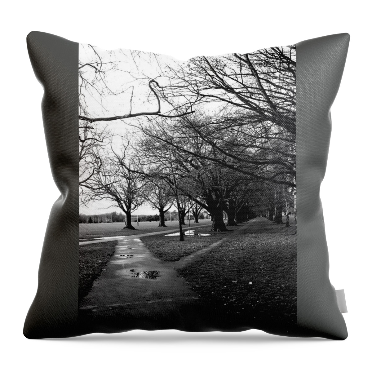 Pathway Throw Pillow featuring the photograph Tree and Pathway 4 of 6 by Roseanne Jones