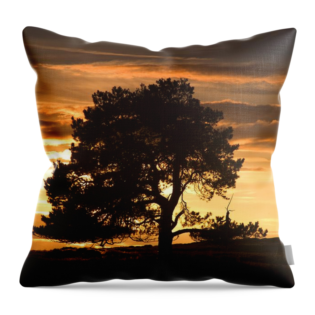 England Throw Pillow featuring the photograph Tree At Sunset, North Yorkshire, England by John Short