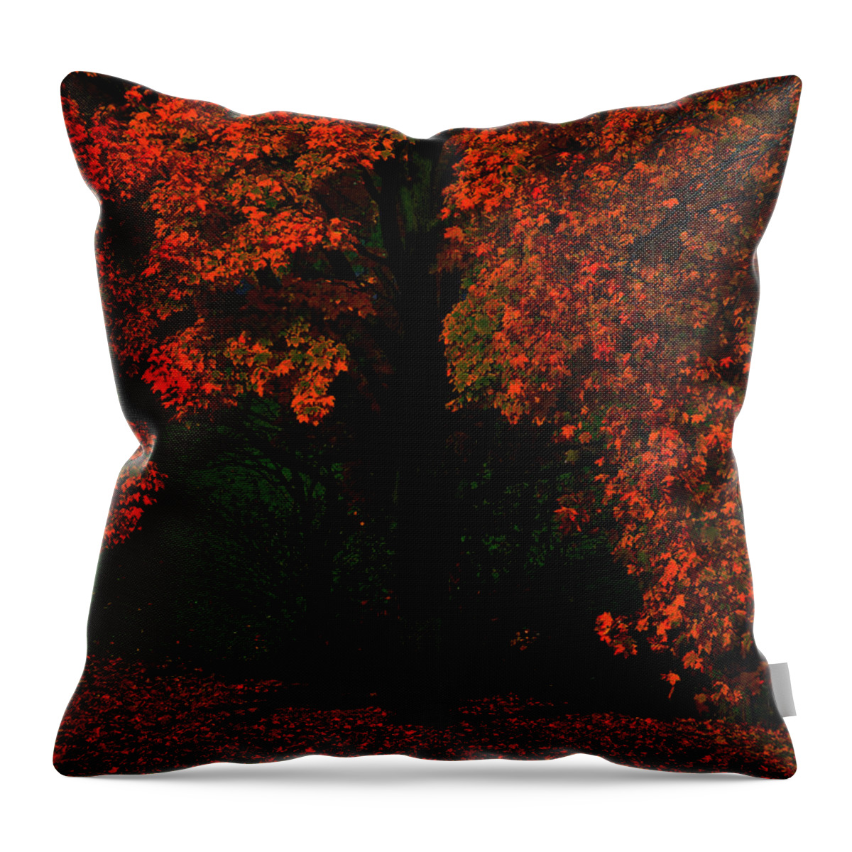 Moonlight Throw Pillow featuring the photograph Tree by Dragan Kudjerski