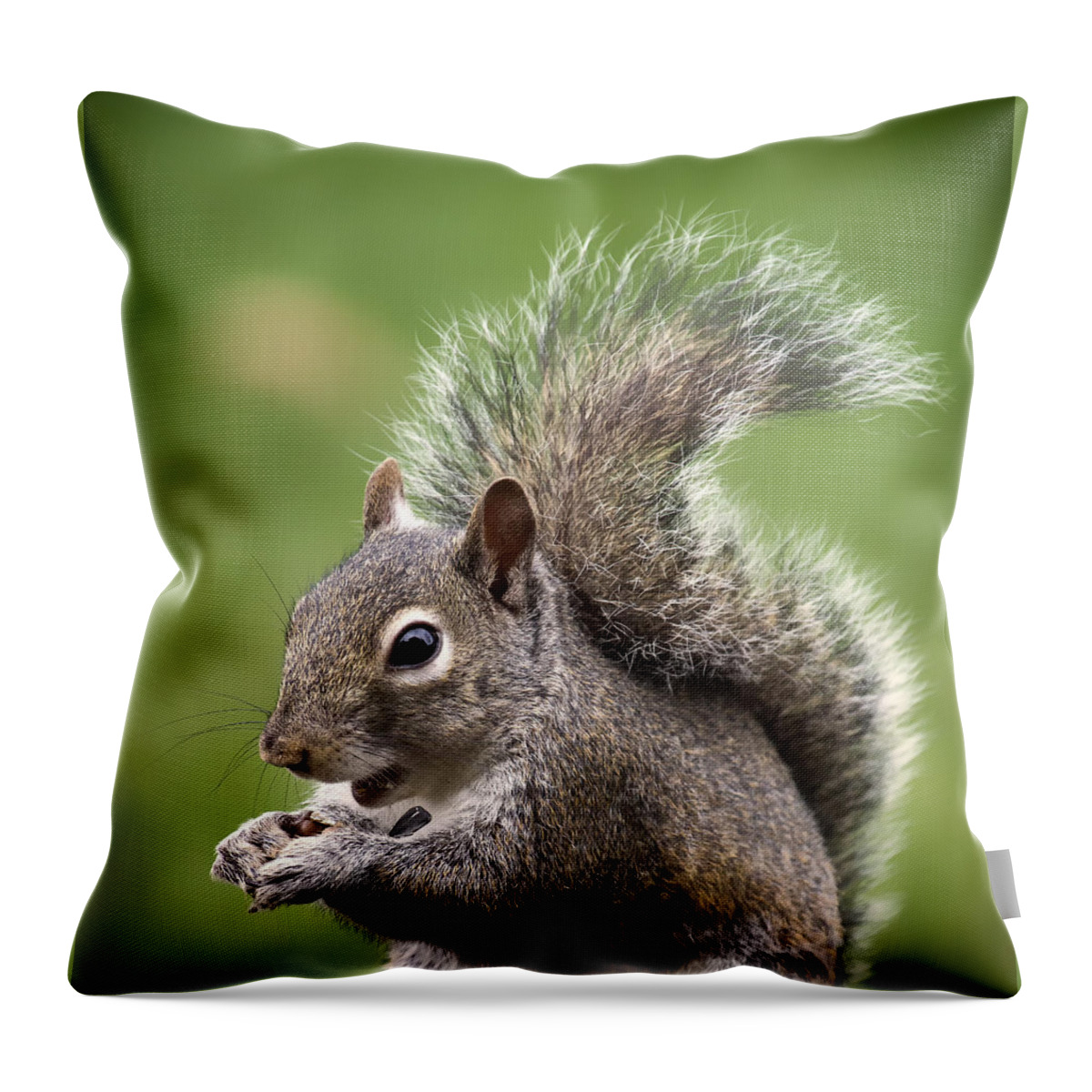 Squirrel Throw Pillow featuring the photograph Tree Rat #2 by Bill and Linda Tiepelman