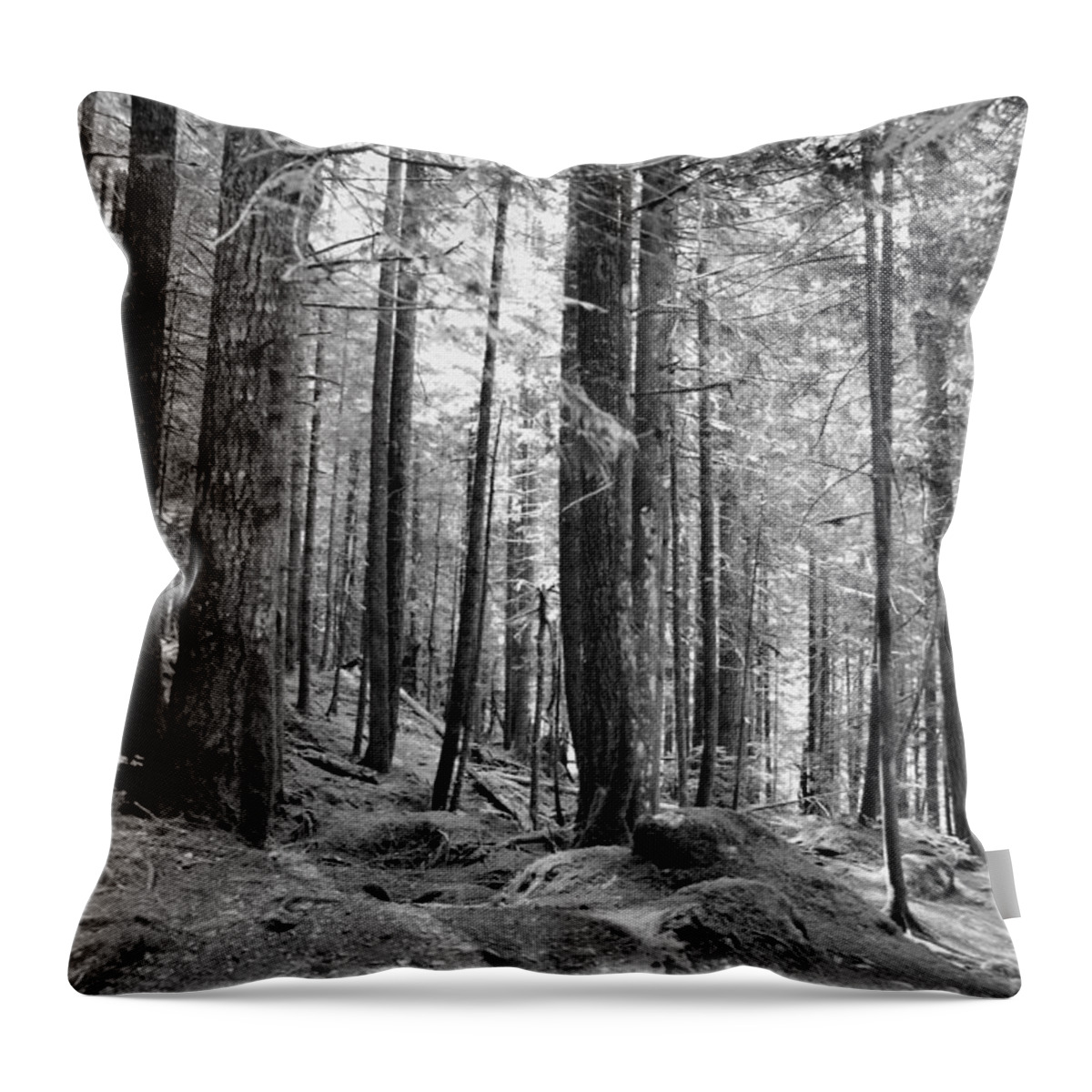 Trees Throw Pillow featuring the photograph Trees by Michael Merry