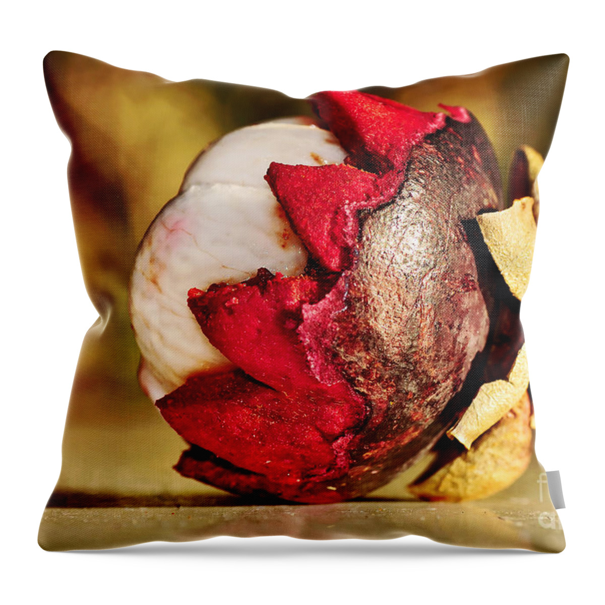 Photography Throw Pillow featuring the photograph Tropical Mangosteen - ready to eat by Kaye Menner