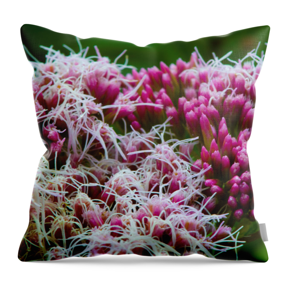 Hemp-agrimony Throw Pillow featuring the photograph Truly Unruly by Rob Hemphill