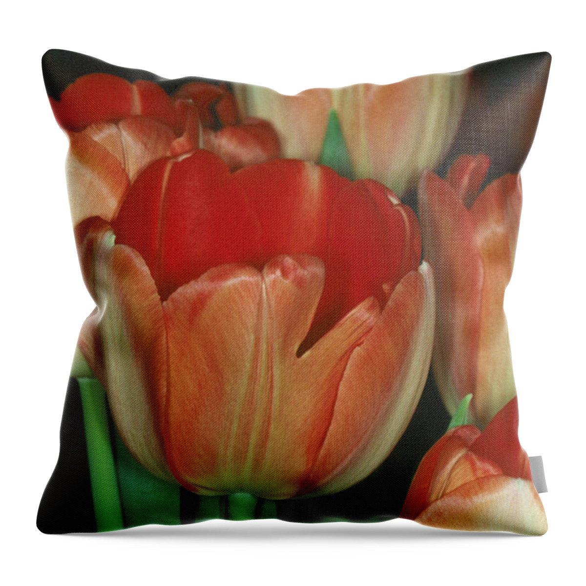 Flower Throw Pillow featuring the photograph Tulip 1 by Andy Shomock