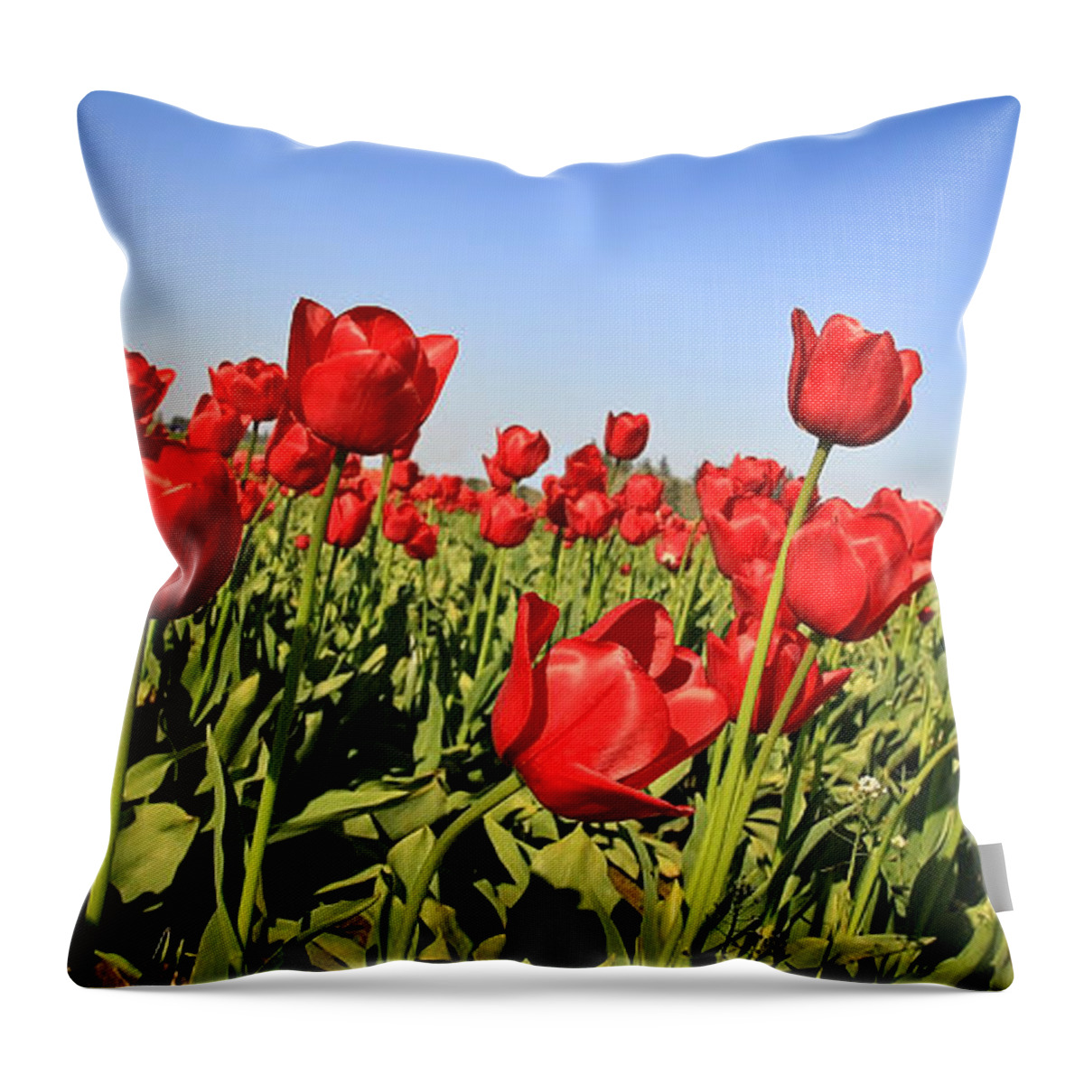 Flowers Throw Pillow featuring the photograph Tulip Field by Steve McKinzie