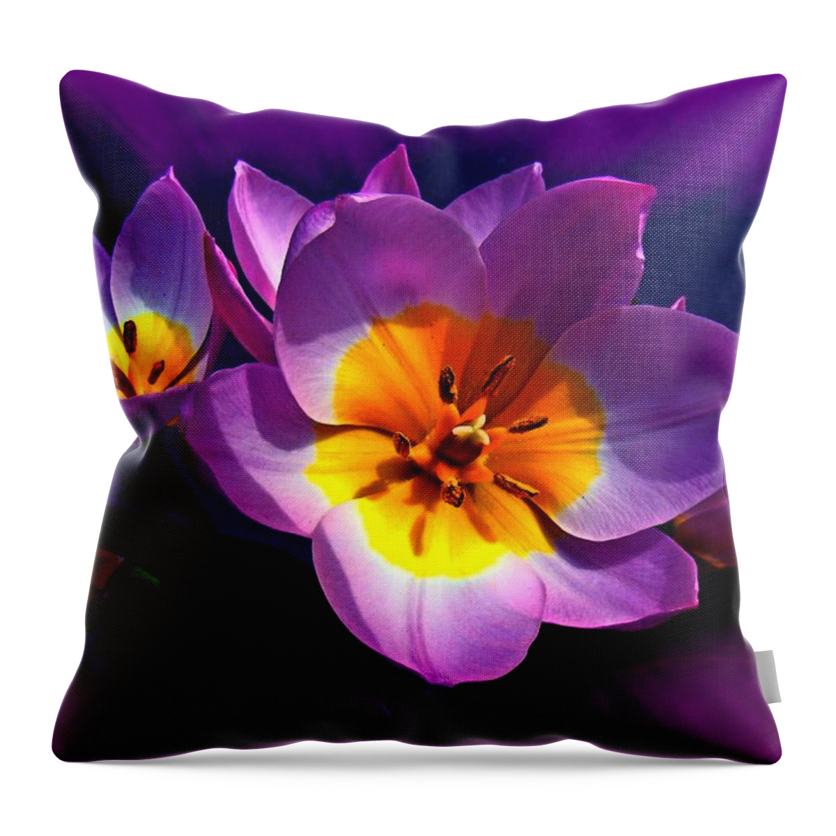 Tulip Throw Pillow featuring the photograph Tulips at Sunset by Nick Kloepping