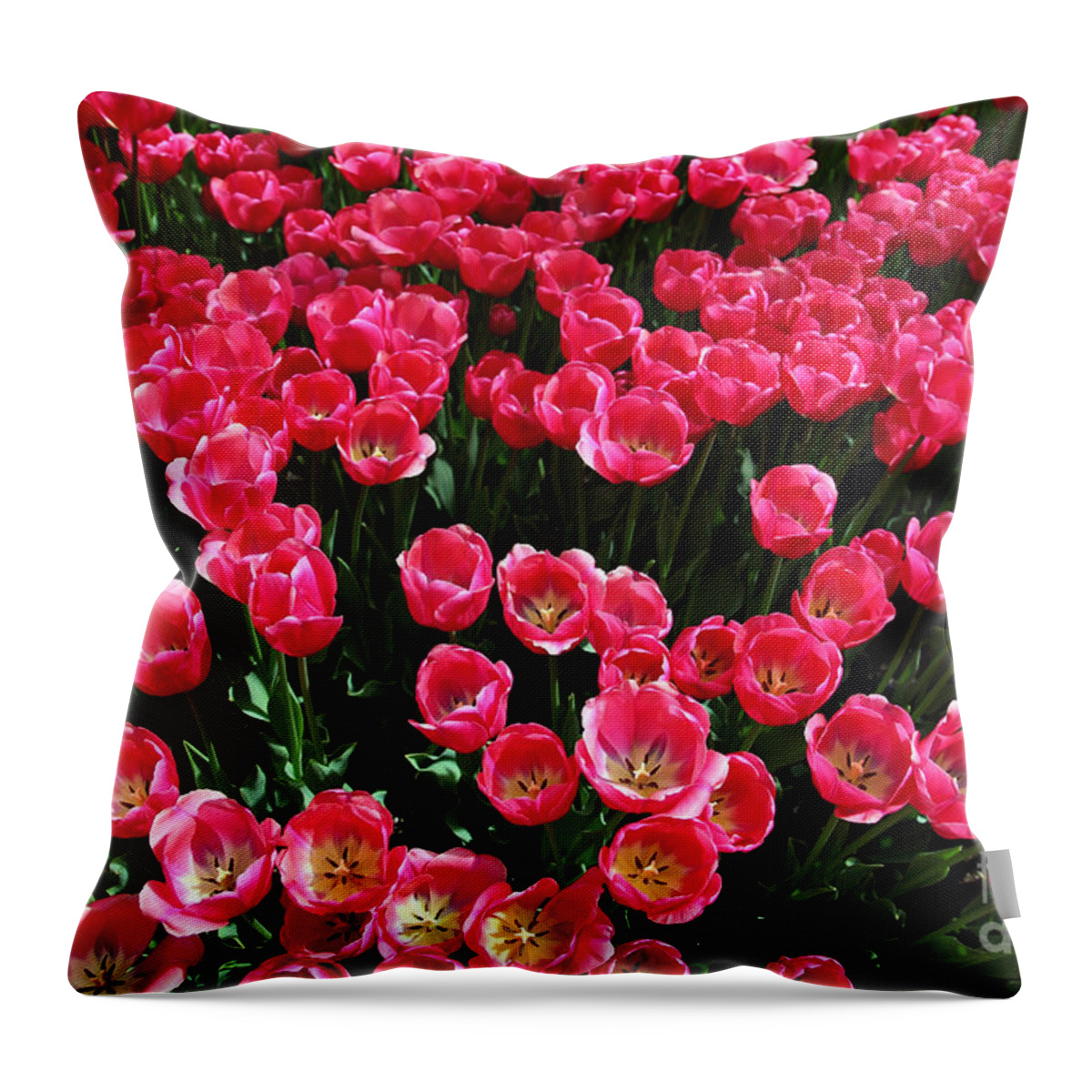 Tupils Throw Pillow featuring the photograph Tulips by Milena Boeva