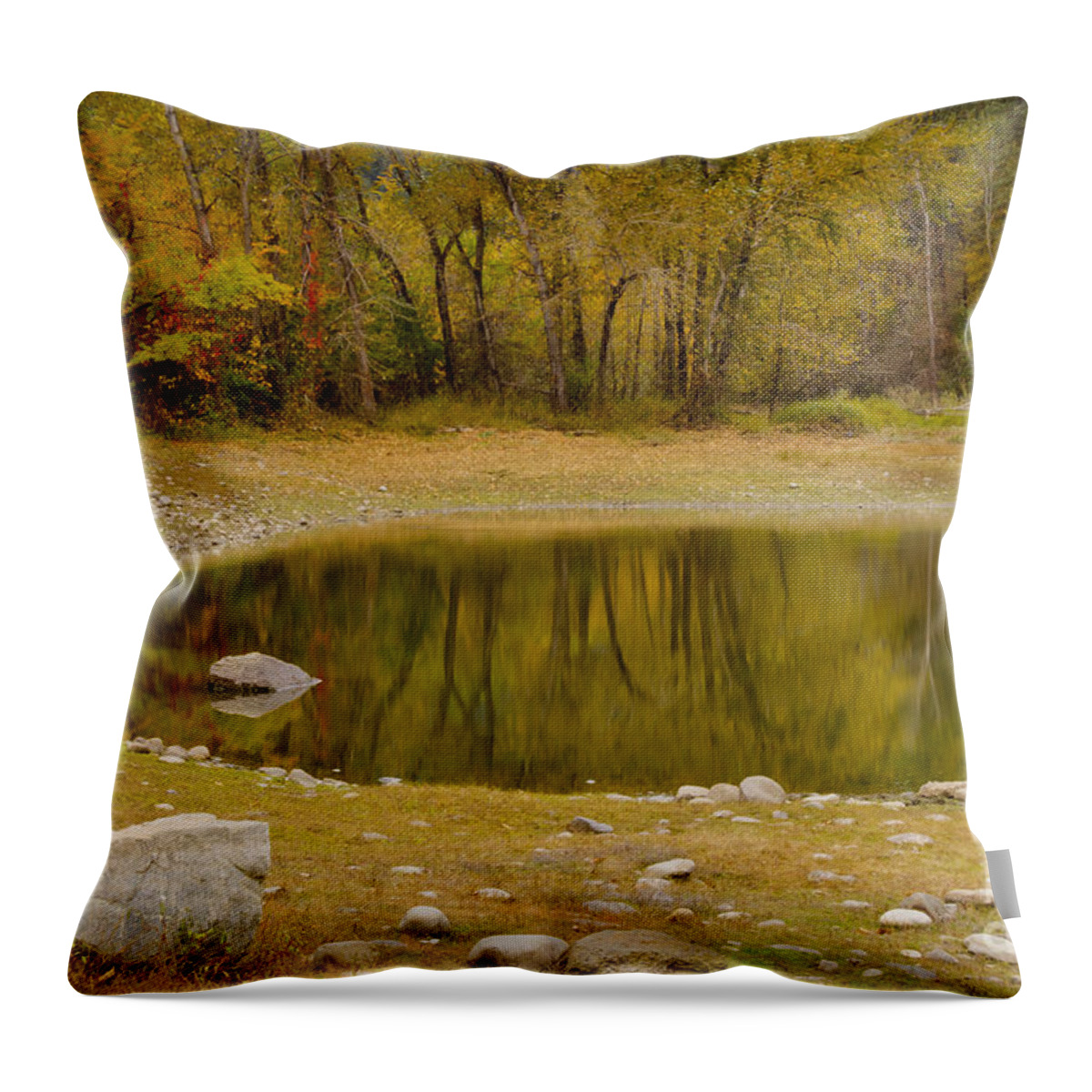 Idaho Throw Pillow featuring the photograph Tunnel Pond by Idaho Scenic Images Linda Lantzy