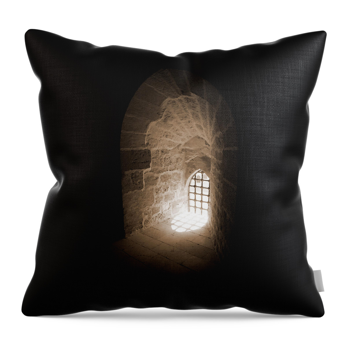 Sepia Throw Pillow featuring the photograph Tunneled Arch Window by Donna Corless