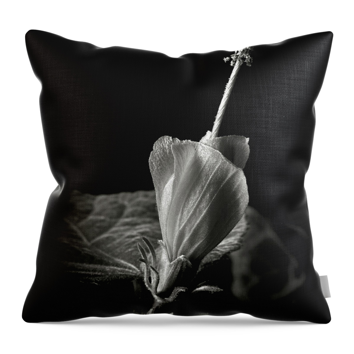 Flower Throw Pillow featuring the photograph Turk's Cap in Black and White by Endre Balogh