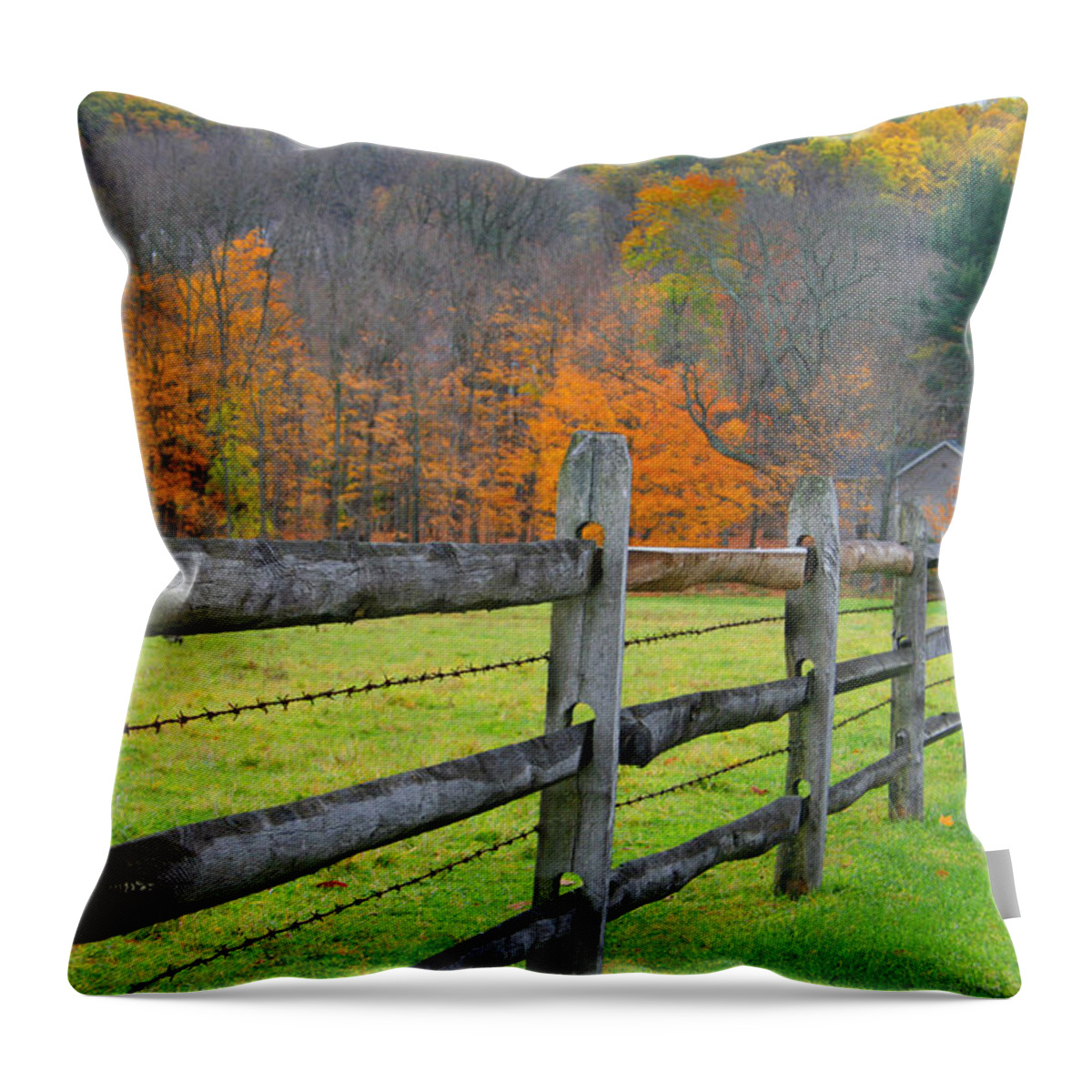 Landscapes Throw Pillow featuring the photograph Turning Trees by Barbara Northrup