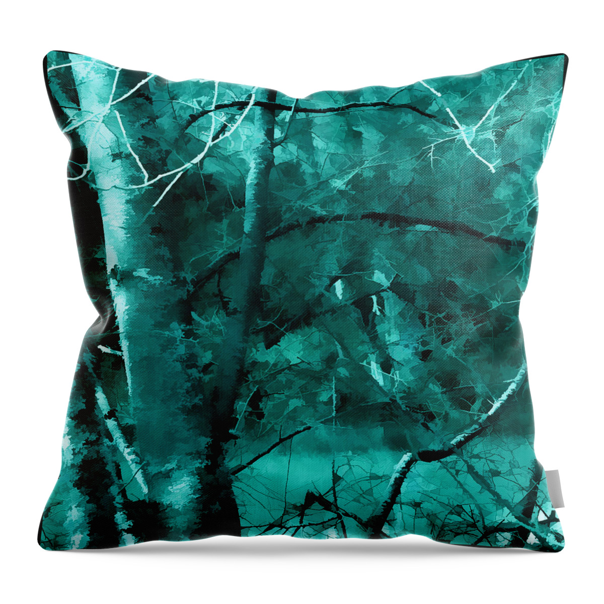 Digital Throw Pillow featuring the photograph Turquoise Branches by Bonnie Bruno