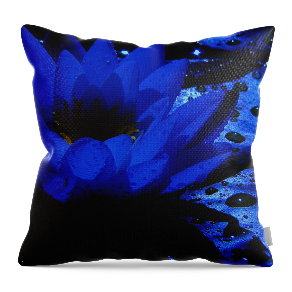 Water Lily Throw Pillow featuring the photograph Twilight by Barbara St Jean