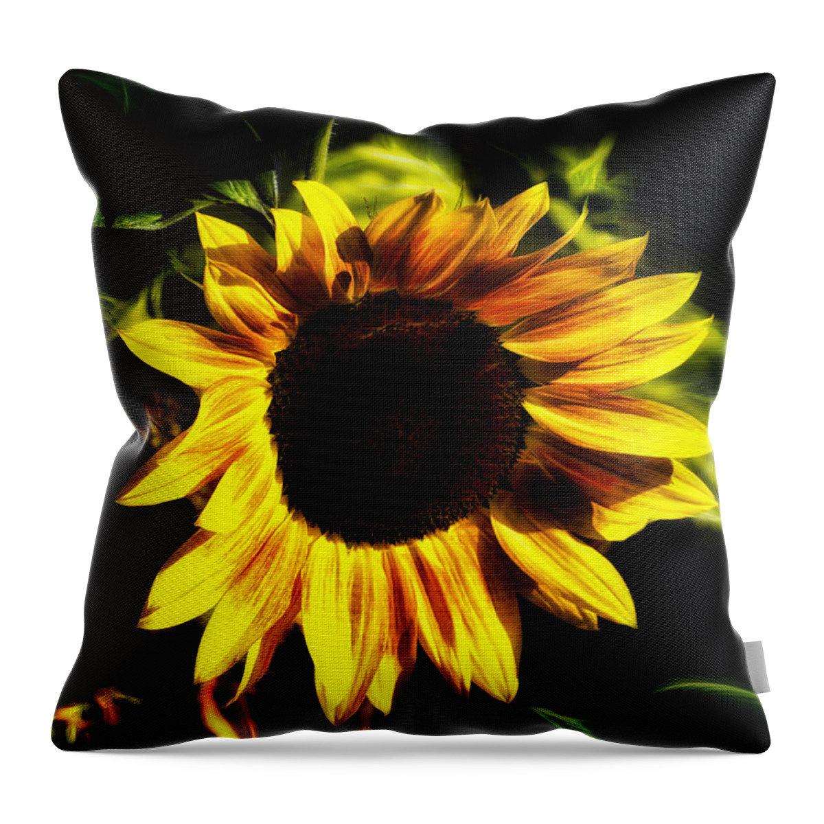 Sunflower Throw Pillow featuring the photograph Twilight Sunflower by Bill and Linda Tiepelman