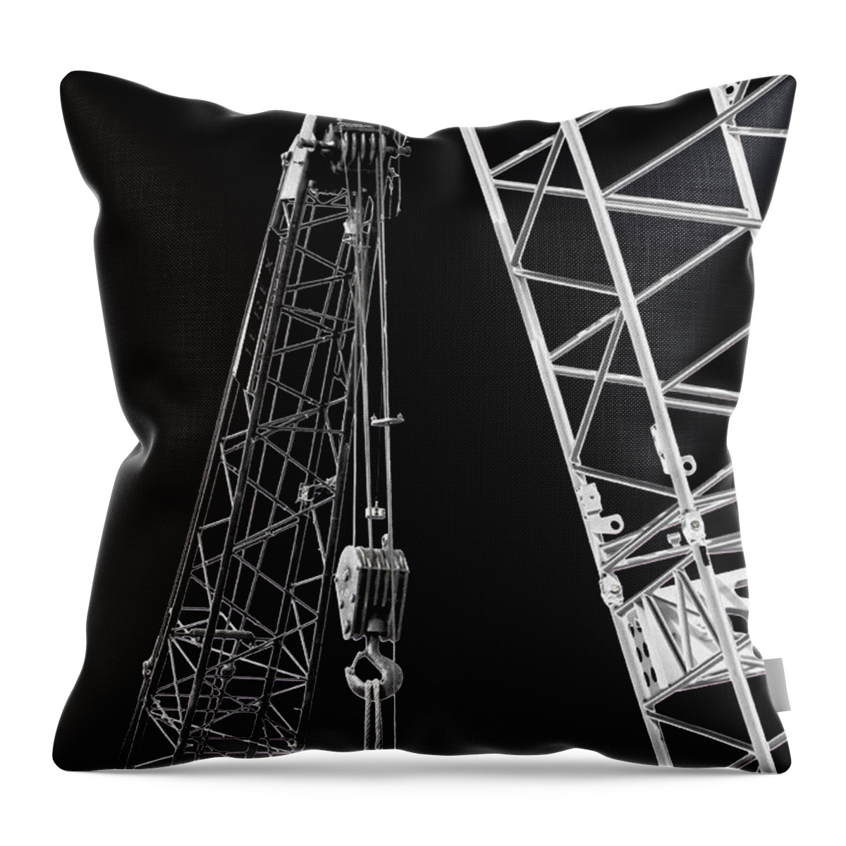 Activity Throw Pillow featuring the photograph Two Cranes by Jim Finch