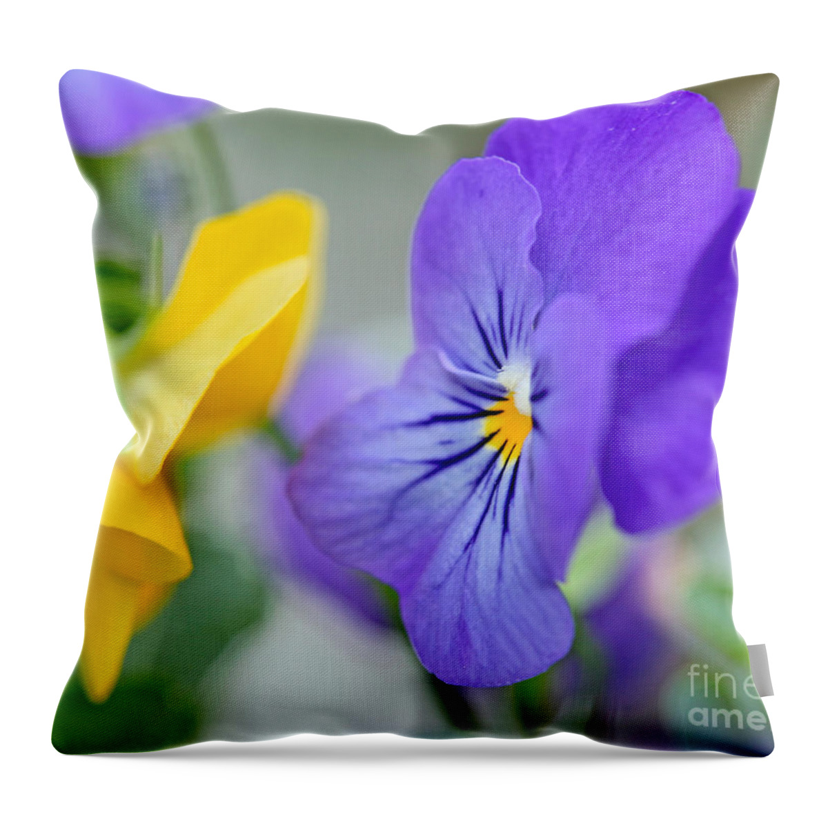 Pansy Print Throw Pillow featuring the photograph Two Pansies ln Love by Luana K Perez