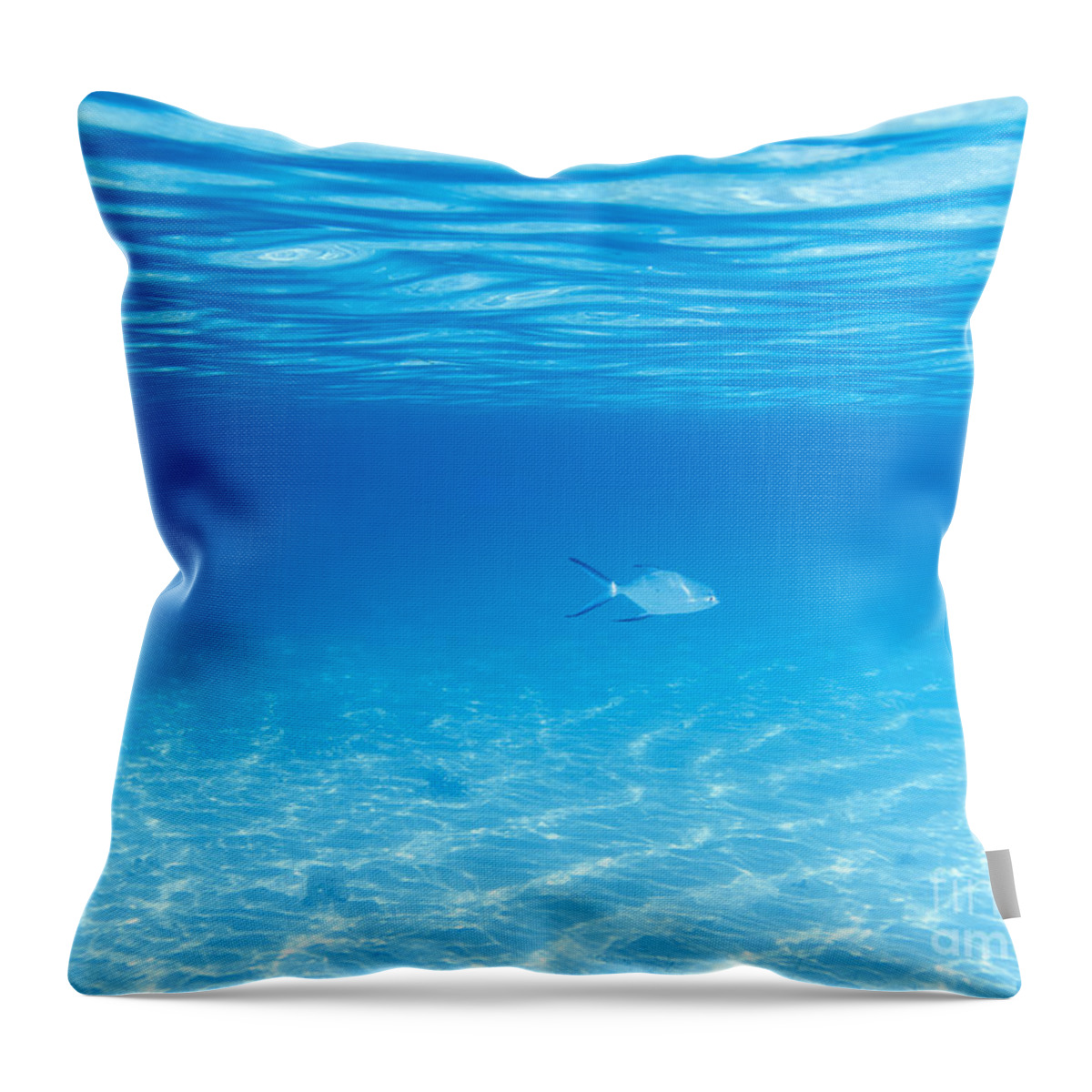 Underwater Throw Pillow featuring the photograph Underwater by MotHaiBaPhoto Prints
