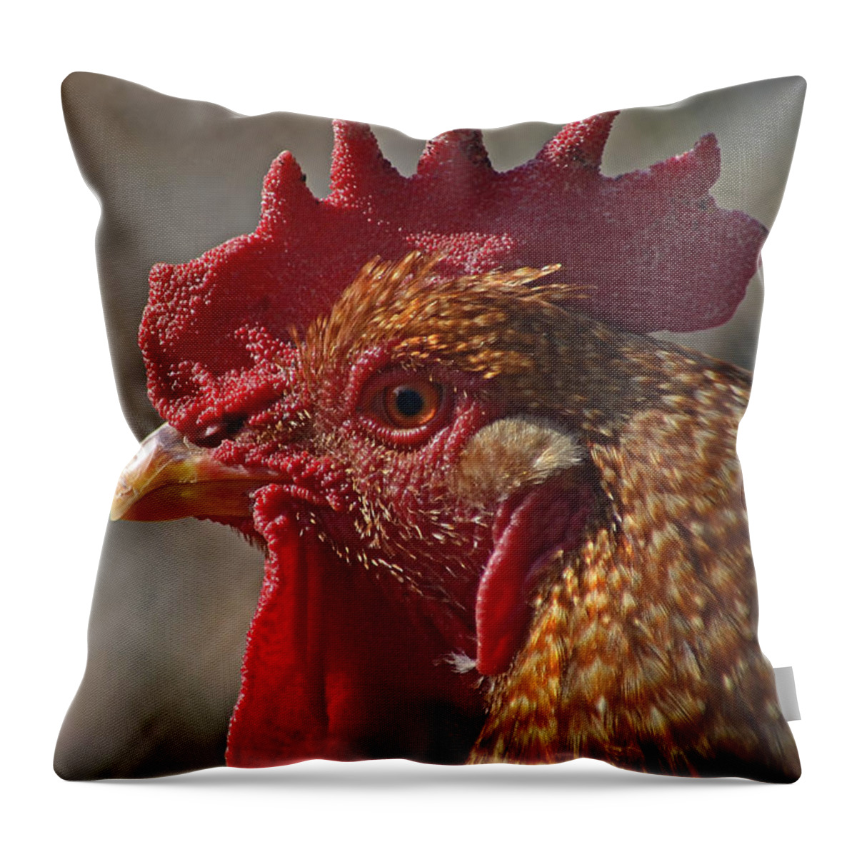 Landscape Throw Pillow featuring the photograph Urban Rooster by Lisa Phillips
