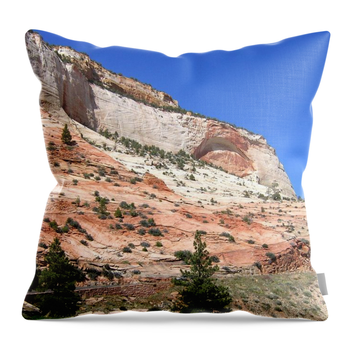 Utah Throw Pillow featuring the photograph Utah 18 by Will Borden