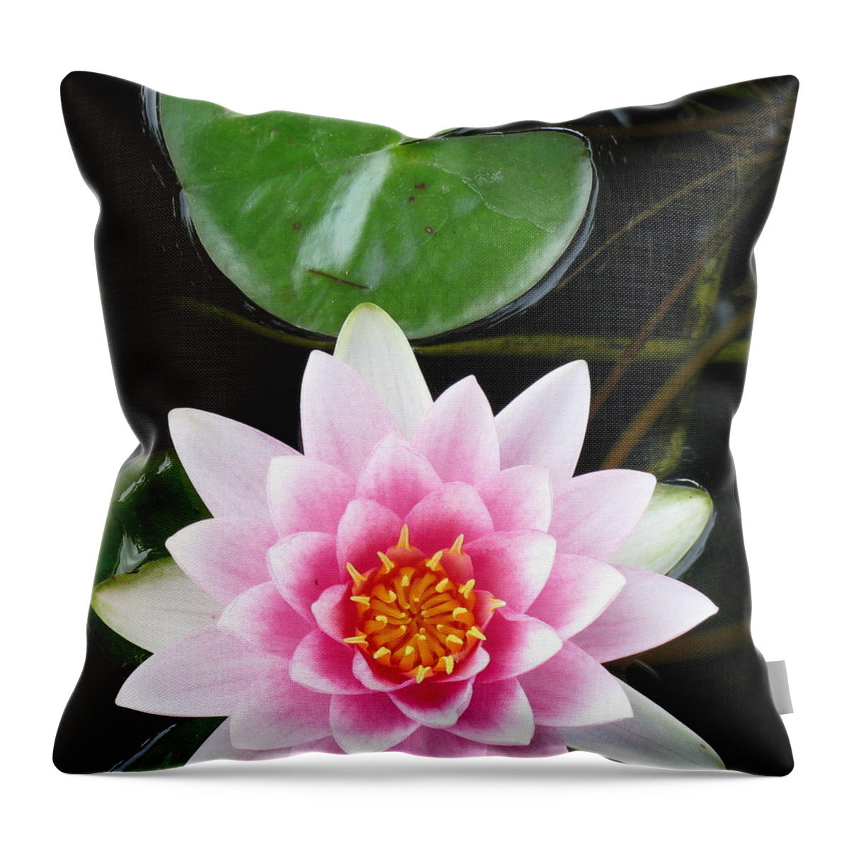 Asymmetrical Nature Throw Pillow featuring the photograph Vertical Water Lily by Debbie Finley