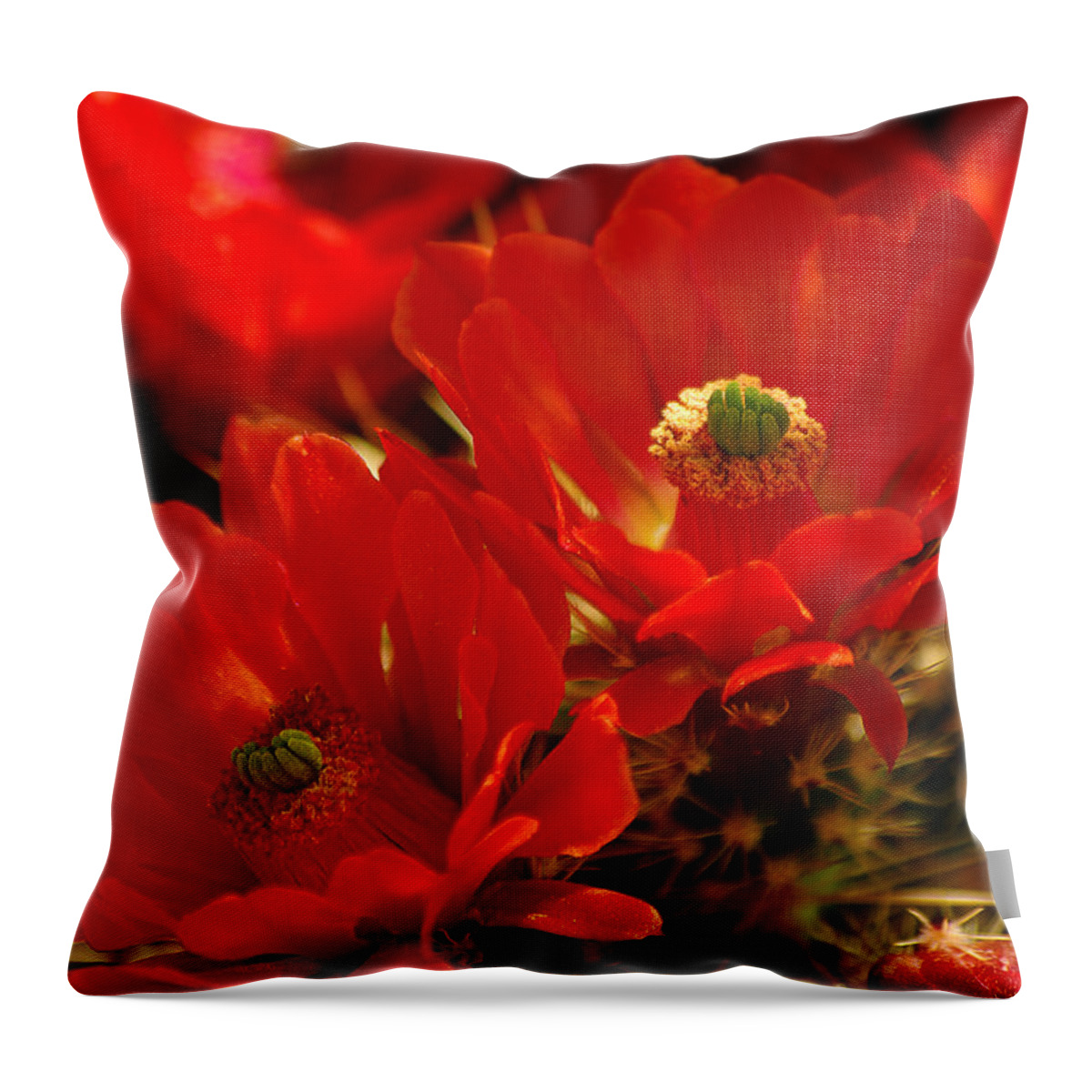 Columbus Throw Pillow featuring the photograph Vibrantly Red by Vicki Pelham