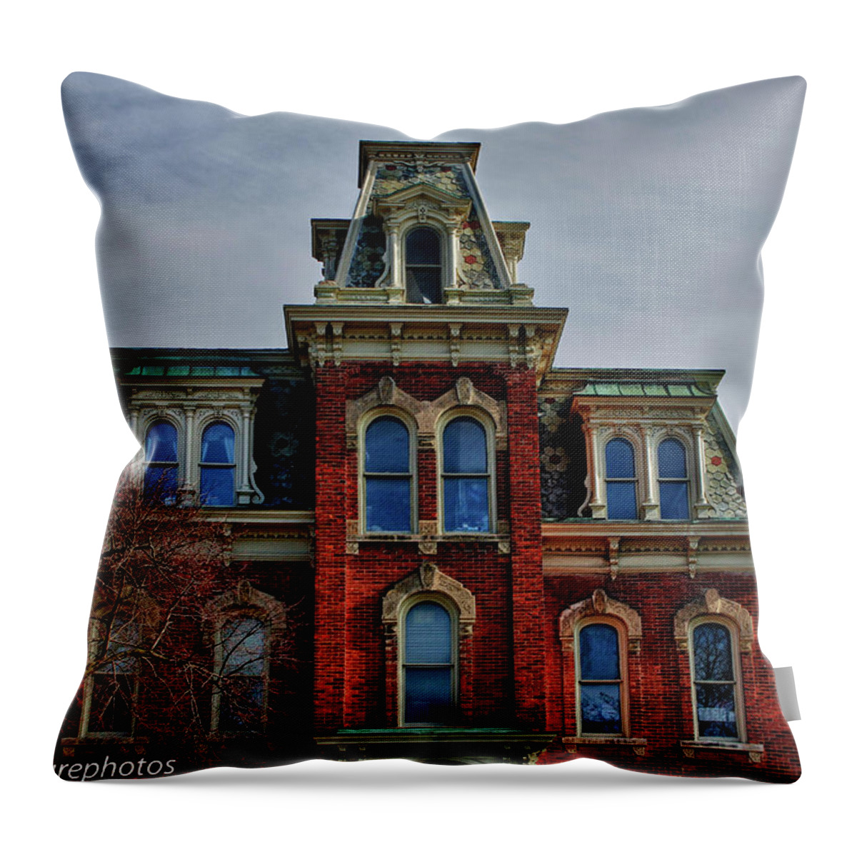 Victorian Throw Pillow featuring the photograph Victorian Beauty by Rachel Cohen