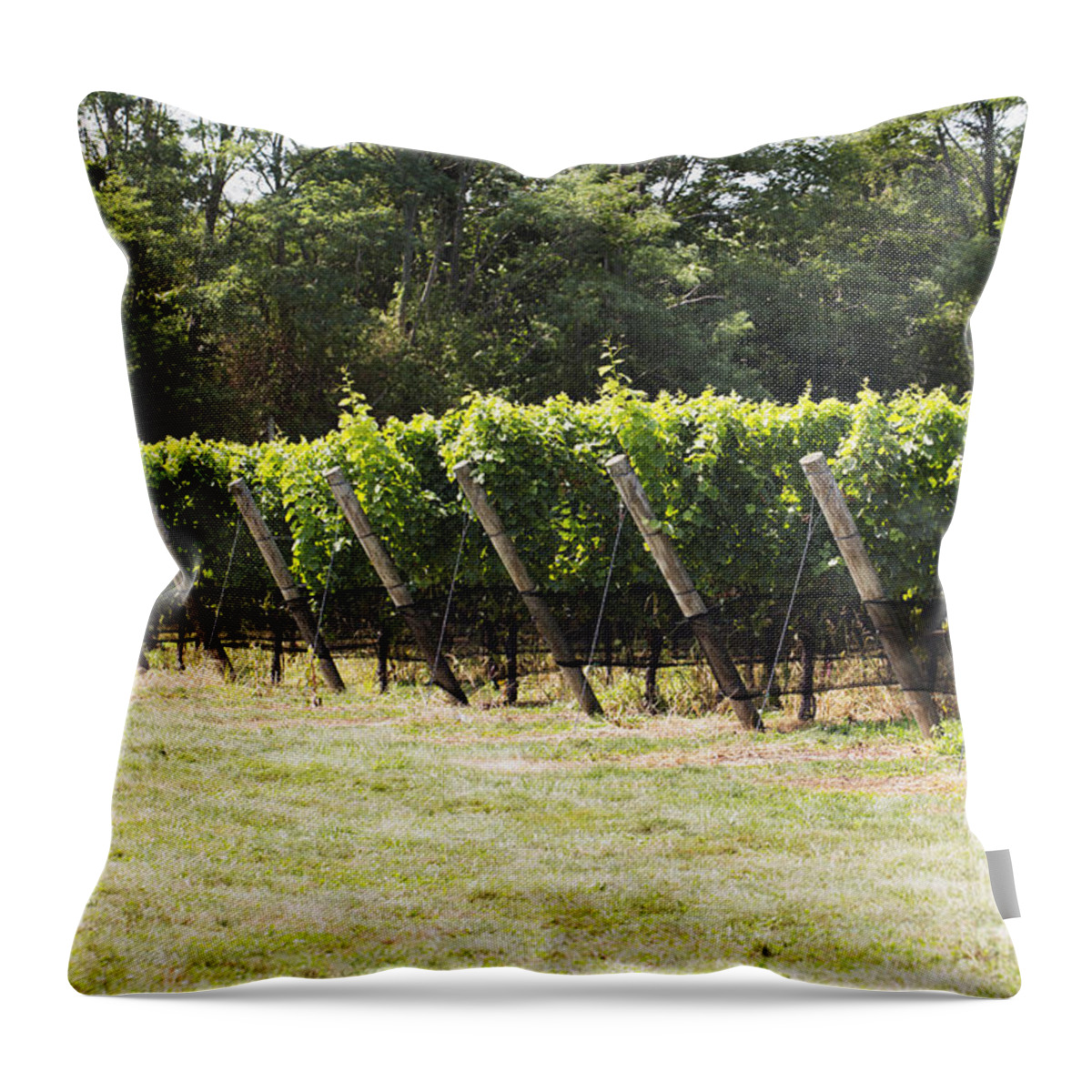 Vineyard Throw Pillow featuring the photograph Vineyards by Leslie Leda